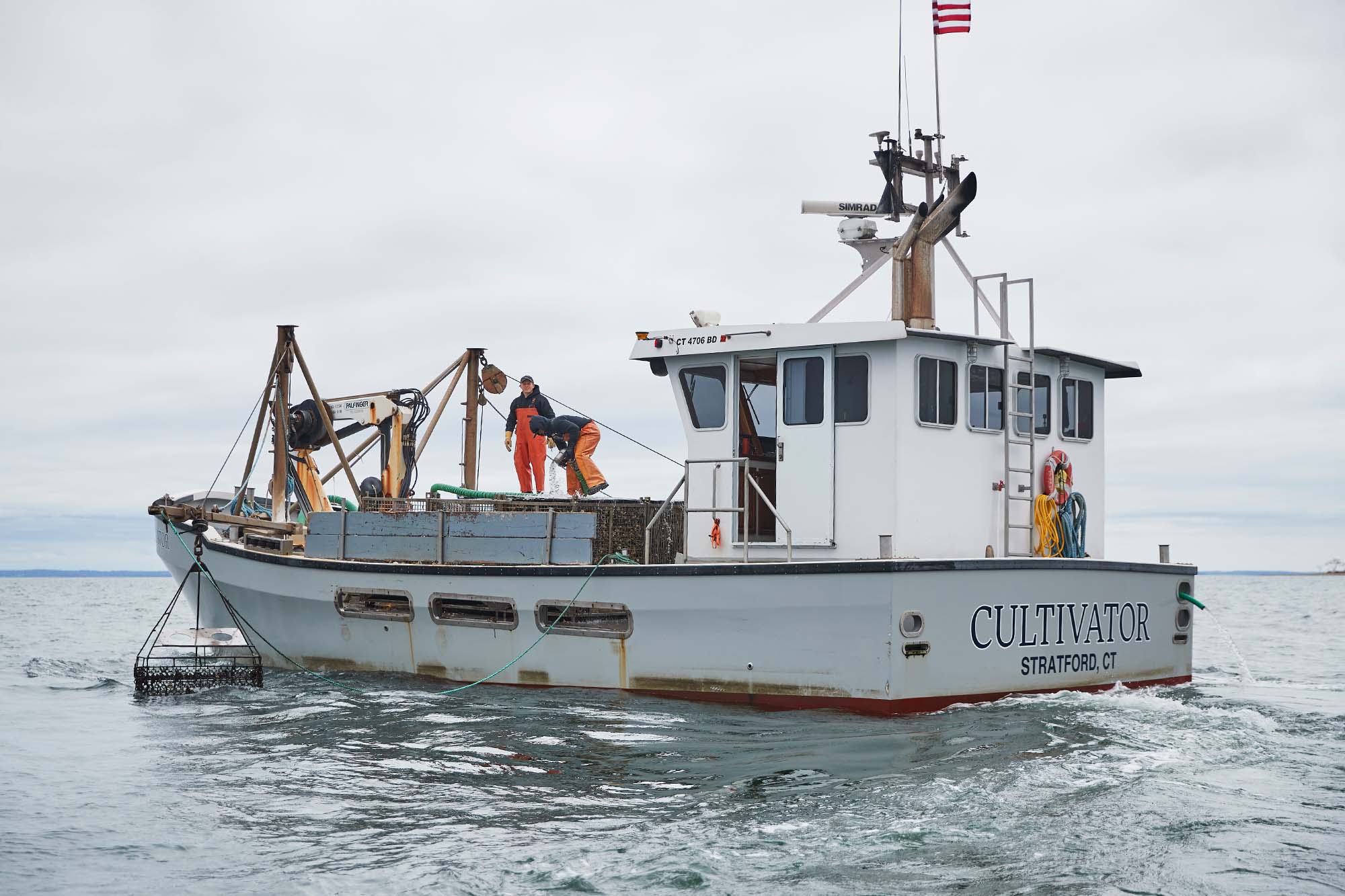 The Blooms on the Boat